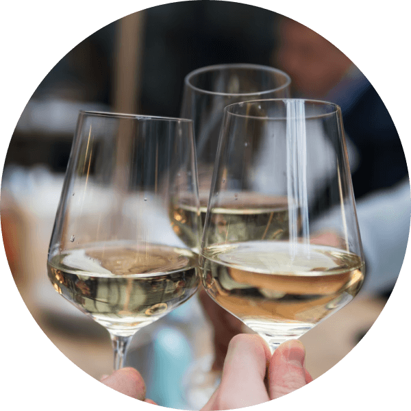Wine glass